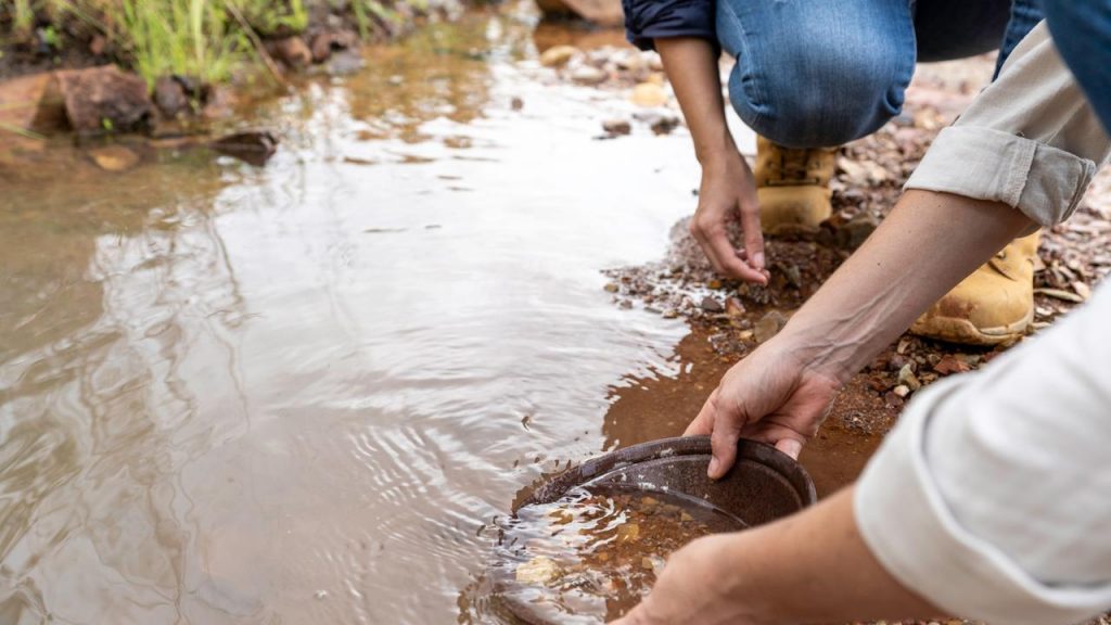 gold prospecting
